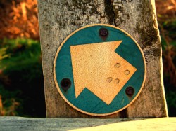 Signpost_by_maroubal2 Signpost by maroubal2 250x187 Signpost by maroubal2