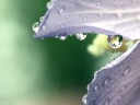 Tiny_Worlds_by_matthileo Tiny Worlds by matthileo 128x96 Ubuntu 11.04 wallpapers