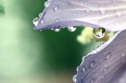 Tiny_Worlds_by_matthileo Tiny Worlds by matthileo 250x166 Tiny Worlds by matthileo