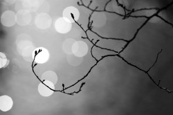 Touch_the_light_by_Matt_Katzenberger Touch the light by Matt Katzenberger 250x166 Touch the light by Matt Katzenberger