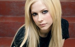 blonde-03 blonde 03 250x156 blonde 03