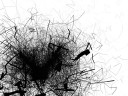 dandelion 128x96 HTC Sensation wallpapers